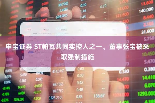申宝证券 ST帕瓦共同实控人之一、董事张宝被采取强制措施