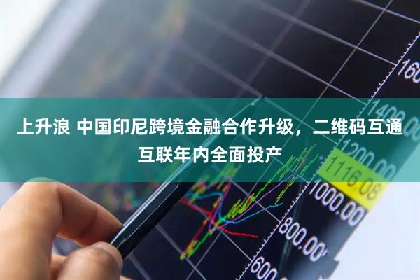 上升浪 中国印尼跨境金融合作升级，二维码互通互联年内全面投产