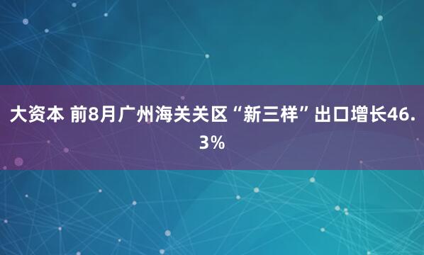 大资本 前8月广州海关关区“新三样”出口增长46.3%