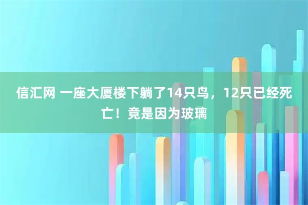 信汇网 一座大厦楼下躺了14只鸟，12只已经死亡！竟是因为玻璃